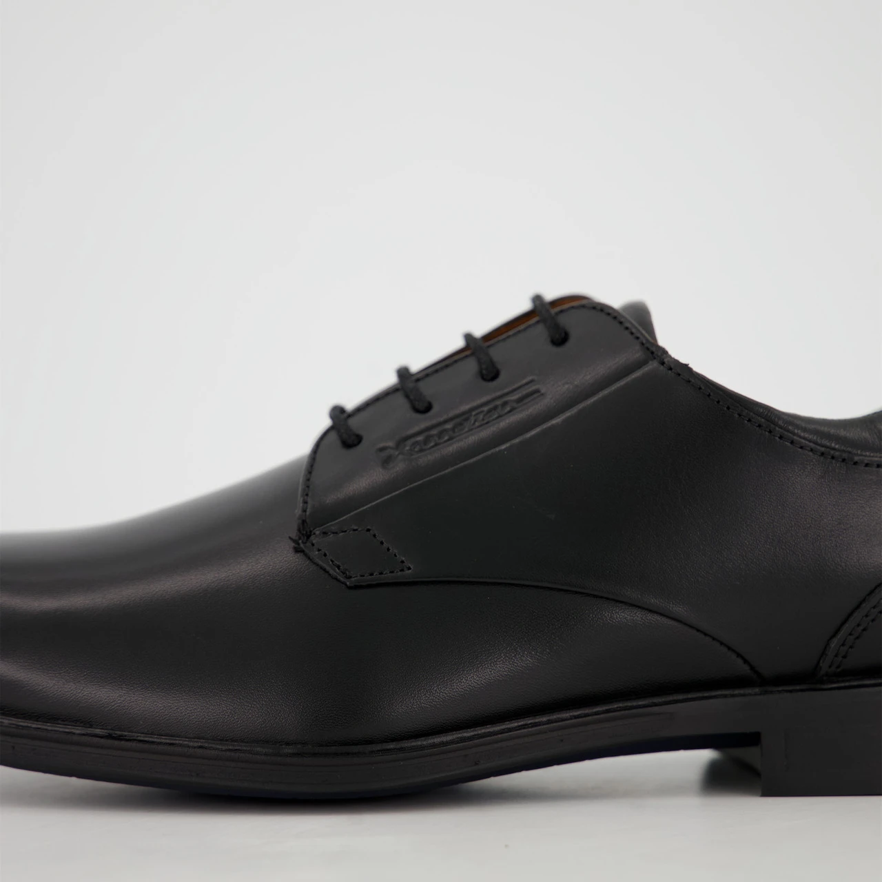 LLoyd MOLTO – Bild 4