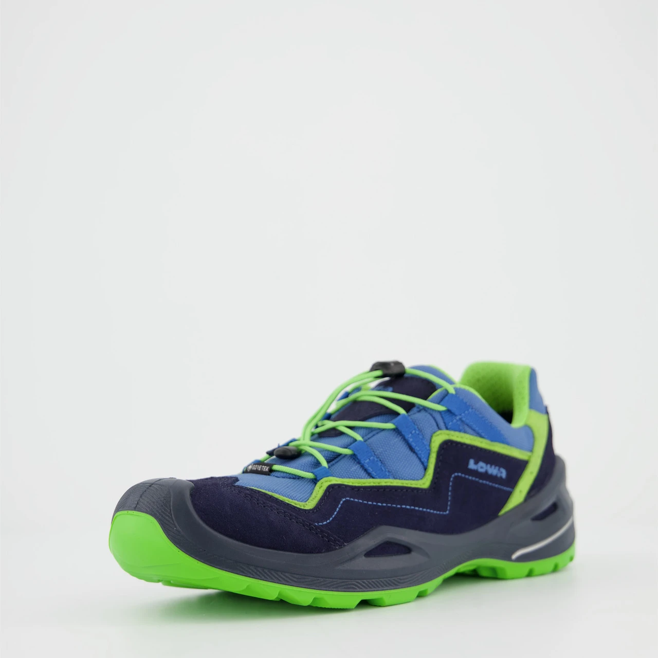 Lowa Robin EVO GTX LO