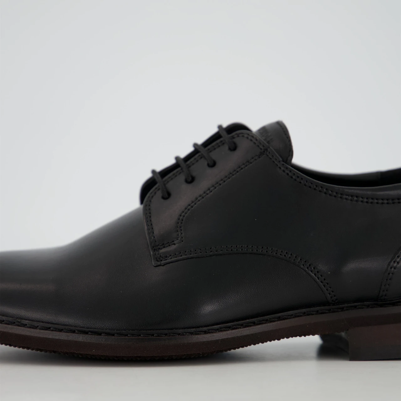 Salamander AMBRO – Bild 4