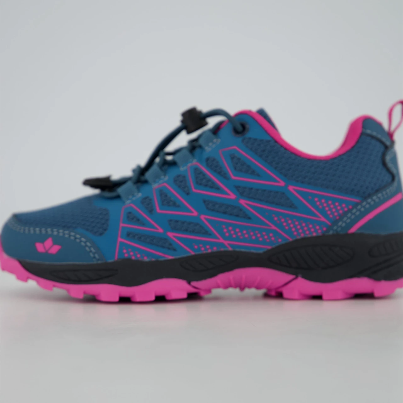 Lico Ridge – Bild 4