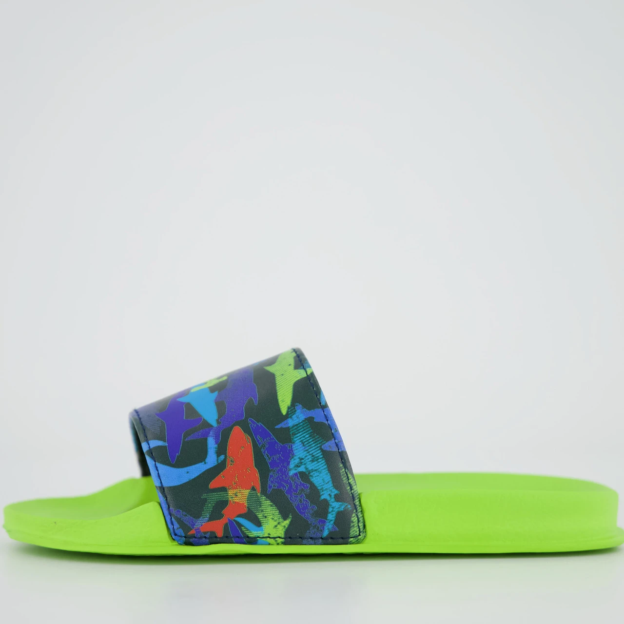 Beck Sealife – Bild 4